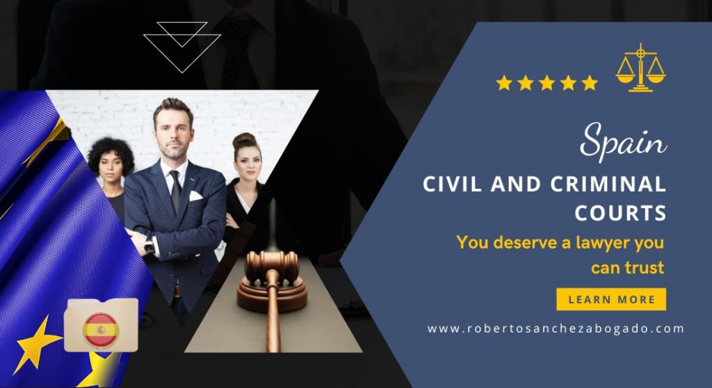 Lawyer civil and criminal courts