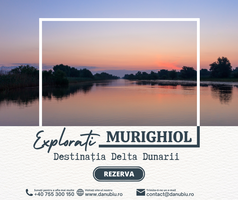Find Your Dream Vacation Spot: The Danube Delta at Murighiol România